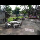 Die als Touristenattraktion erduldete Affenplage am Schrein San Phra Kan